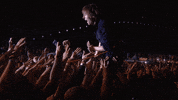Crowd Singing GIF by Coachella