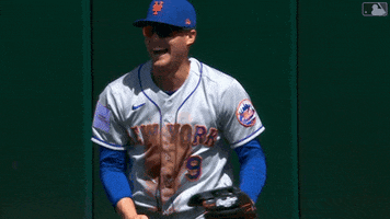 Happy Major League Baseball GIF by New York Mets