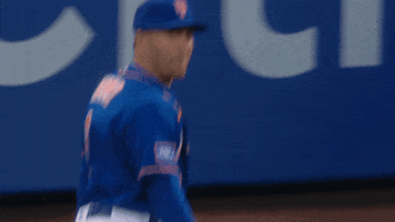 Happy Major League Baseball GIF by New York Mets