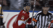 Ice Hockey Sport GIF by NHL