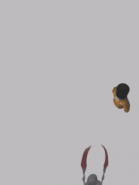 Rake GIF