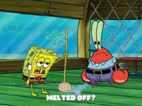 season 6 GIF by SpongeBob SquarePants