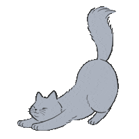 mihomihomiho cat animal かわいい 猫 Sticker