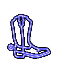 Country Music Neon Sticker by Josiah Siska