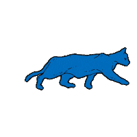 Cat Walking Sticker by Bear Hands