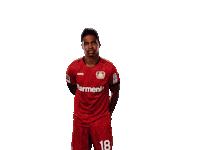 Bayer 04 Werkself Sticker by Bayer 04 Leverkusen