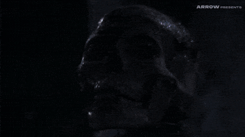 Linnea Quigley Horror GIF by Arrow Video