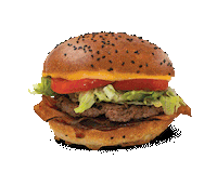 taprav burger burgers fastfood zibert Sticker