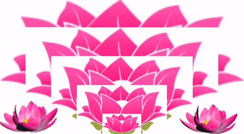 thamarai-restaurant tamil lotus thamarai southindianfood GIF