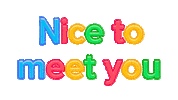 Fun Nice To Meet You Sticker