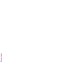 Pink Neon Sticker
