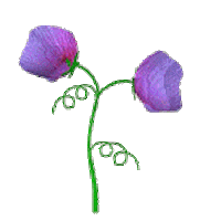 Flower Spring Sticker by Muthesius by students