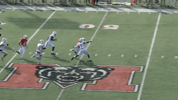 Football Turnover GIF by Chattanooga Mocs