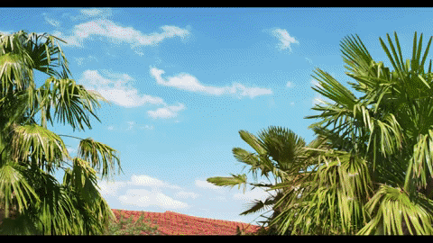 GIF by MAGTICOM