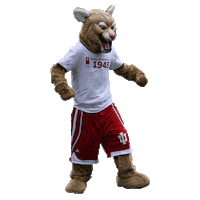 IU_Kokomo college mascot athletics cougar Sticker