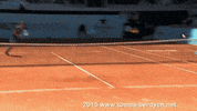 blog tomas GIF