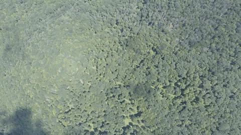 johnson_fta giphyupload GIF