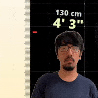 4' 3"