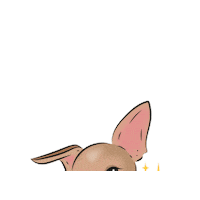 sofiaromanazzo charlie chihuahua carlottapagnotta carlottina Sticker