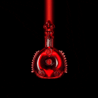 Louis Xiii Party GIF by LOUIS XIII Cognac, unique and exquisite French Cognac by Rémy Martin