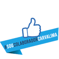 carvalimatransportes transporte encomenda transportadora carvalima Sticker