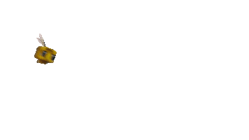 3D Bee Sticker by Warner Bros. Pictures