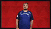 Sv Darmstadt 98 Football GIF by Bundesliga