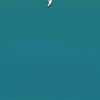 Figure Skating Win GIF by Oksana Kurmaz Art & Animation