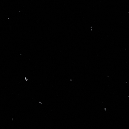 Ppsteam GIF by Patriotic Pest Solutions