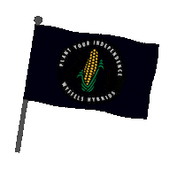 Agriculture Corn Sticker by Wyffels Hybrids
