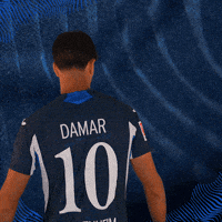 Sport Bundesliga GIF by TSG Hoffenheim