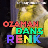Twerk Kanarya GIF