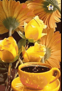 Amigos Flores GIF by Murcianys LLC
