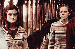 hermione GIF