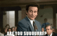 Are You Sure Joe Pesci GIF by Chris Cimino