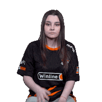 The Bears Esports Sticker by Virtus.pro