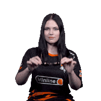 The Bears Esports Sticker by Virtus.pro