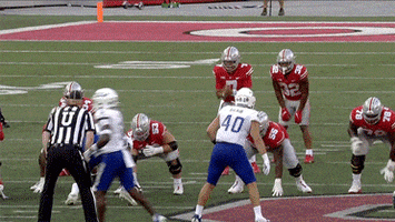 Ohio State Buckeyes Football GIF by Ohio State Athletics