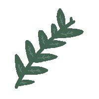 Verde Naturaleza Sticker