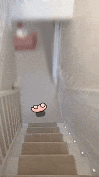 Fall GIF
