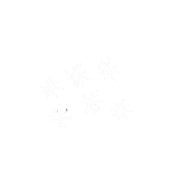 Stars Sticker