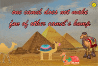 Travel Love GIF by The SOL Foundation