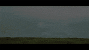 C4music gris basanta basantaband GIF