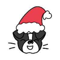 happy dog Sticker by Ivo Adventures