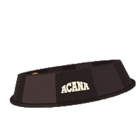 ChampionPetfoods cat dog cats dogs Sticker