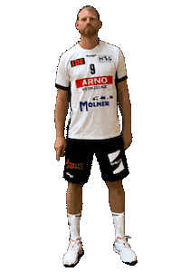 hsgostfildern handball swipeup lookup kempa Sticker