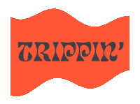 usyeverywhere usy uscj epicisrael usyeverywhere Sticker