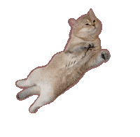 British Shorthair Cat Sticker