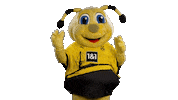 Sport Soccer Sticker by Borussia Dortmund