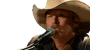 The Older I Get Sticker by Alan Jackson